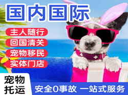 西郊机场货运国际宠物托运 【国